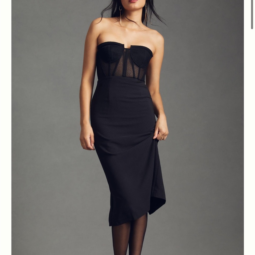 Hutch Sheer Corset Midi Dress size 4